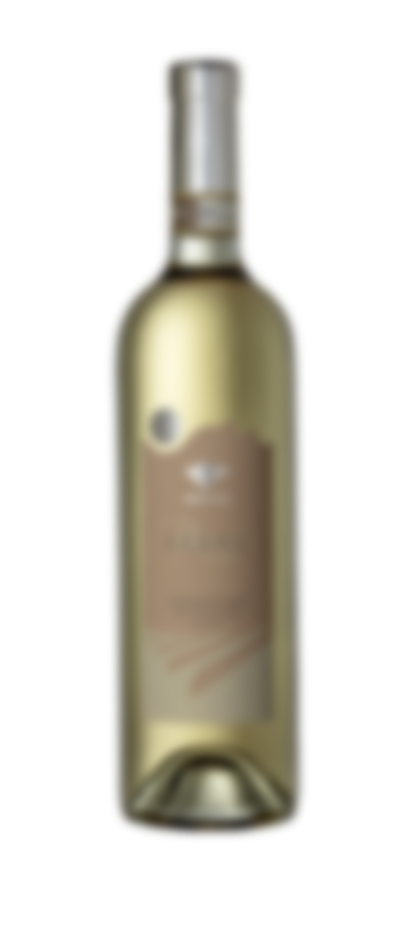 Branu 3
