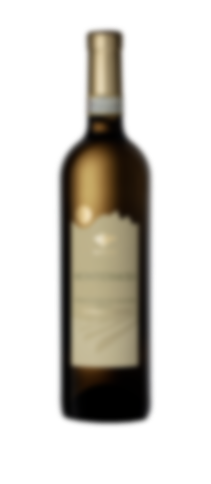 Montidimola 17